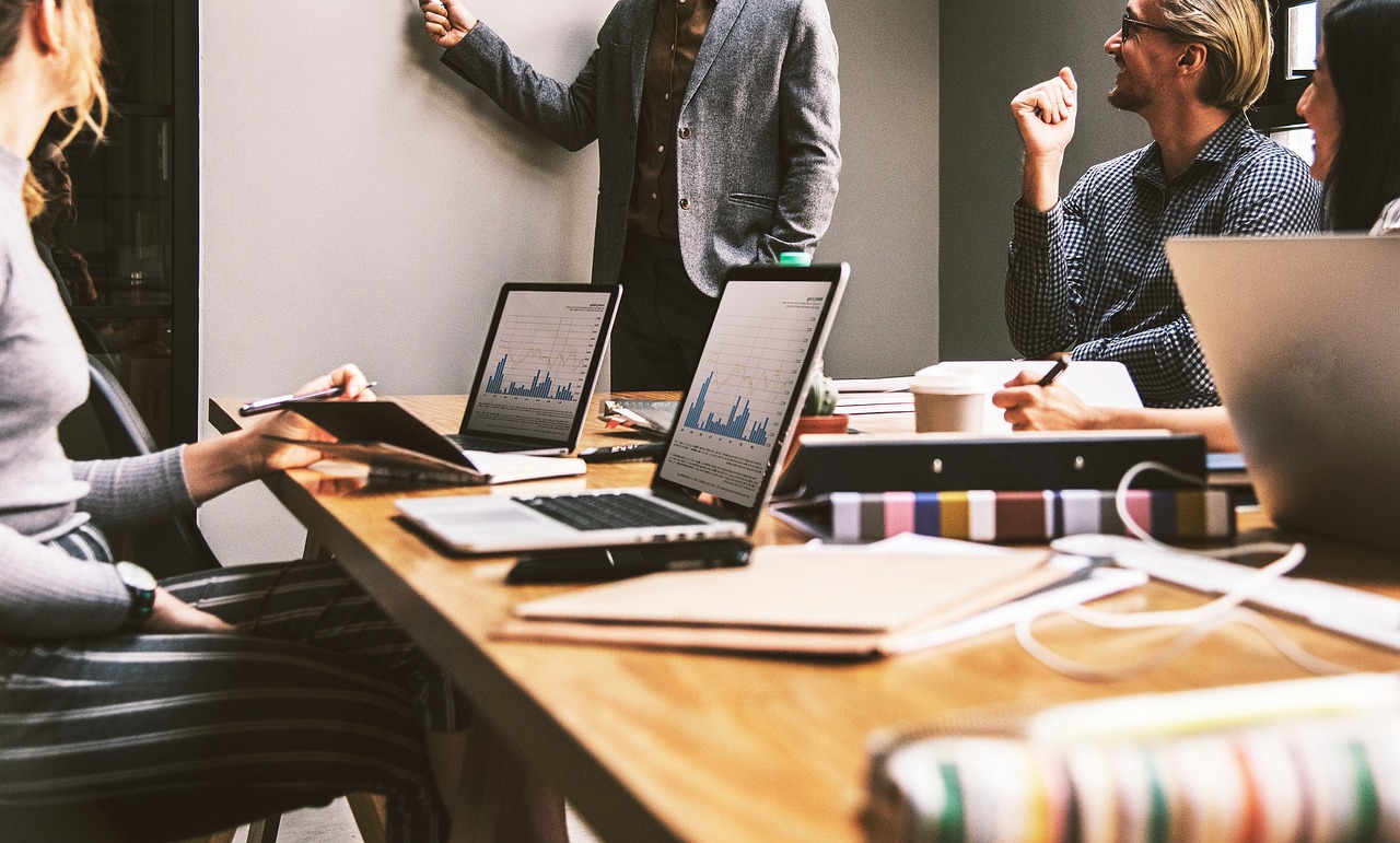 Information technology (IT) and software services